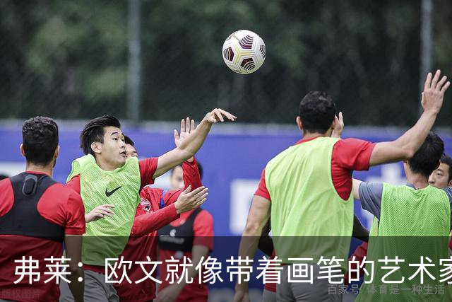 弗莱：欧文就像带着画笔的艺术家 他的进攻动作衔接就像画画一样
