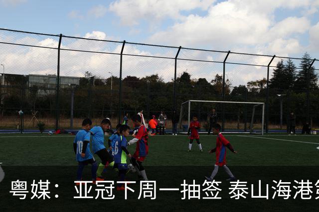 粤媒：亚冠下周一抽签 泰山海港第1档广州第2档